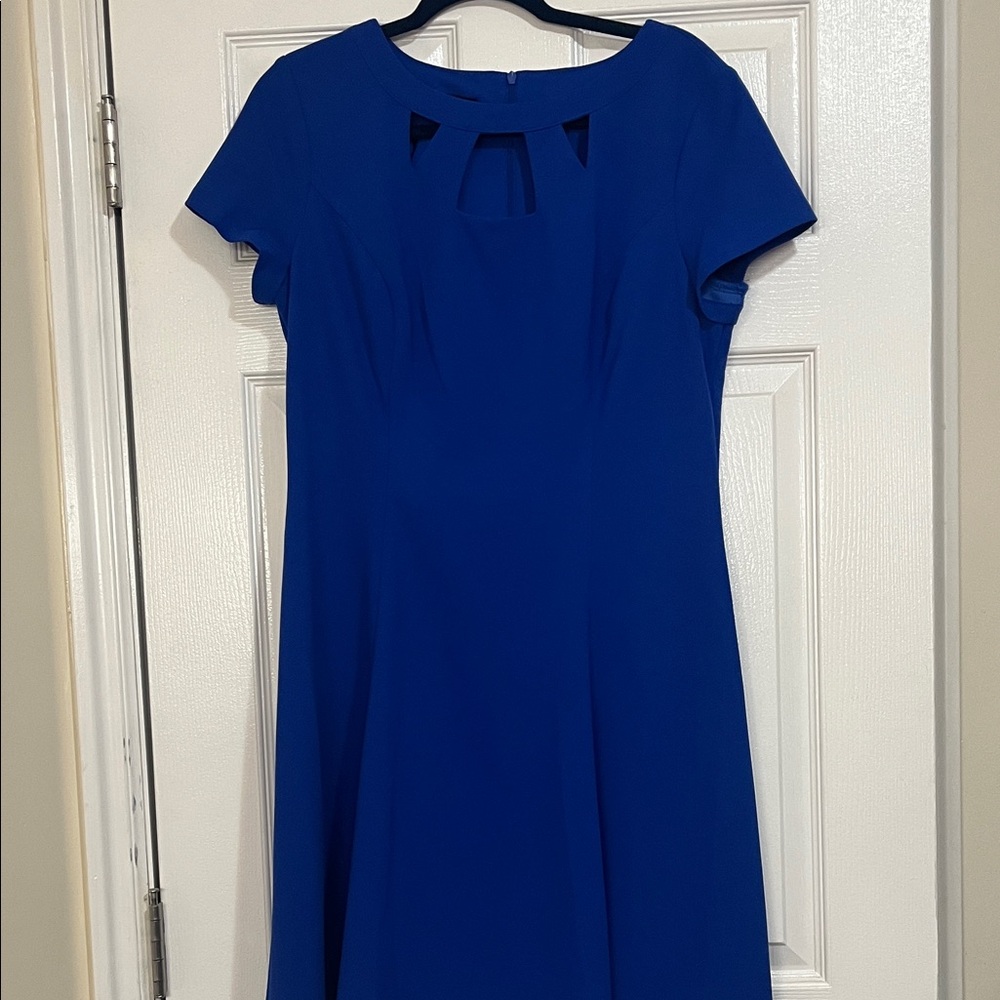 Alyx Royal Blue Fit & Flare Dress  women’s size 14